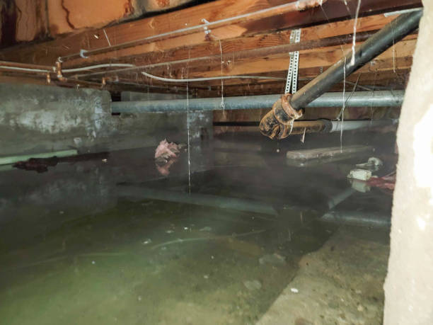 Best Flooded house restoration  in Bertsch Oceanview, CA