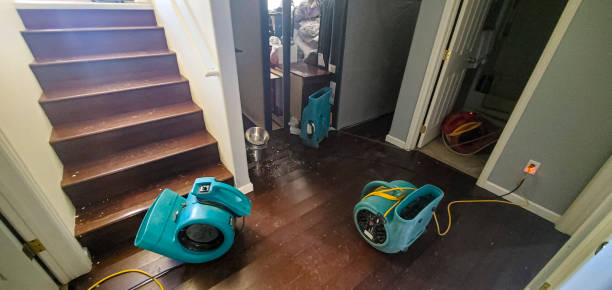 Best Ceiling water damage repair  in Bertsch Oceanview, CA