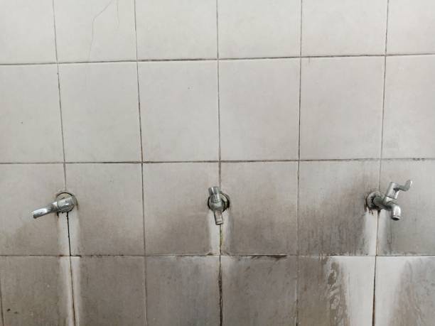 Best Sewage cleanup and water damage restoration  in Bertsch Oceanview, CA