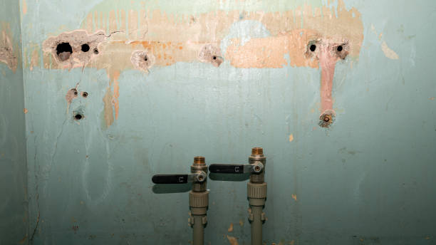 Best Mold removal after water damage  in Bertsch Oceanview, CA