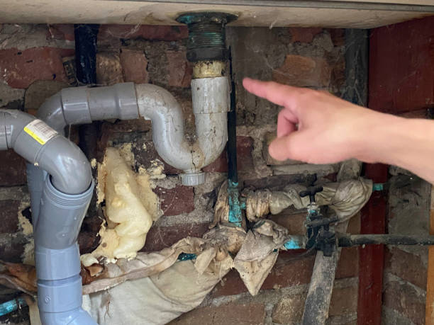 Best Flood damage cleanup  in Bertsch Oceanview, CA